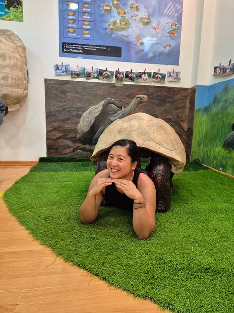 Viajera sonriendo bajo un caparazón de tortuga gigante, frente a un mapa de las especies de tortugas