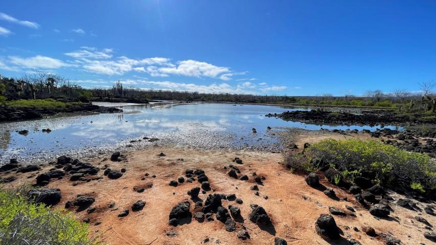 Laguna de aguas tranquilas bajo un cielo azul