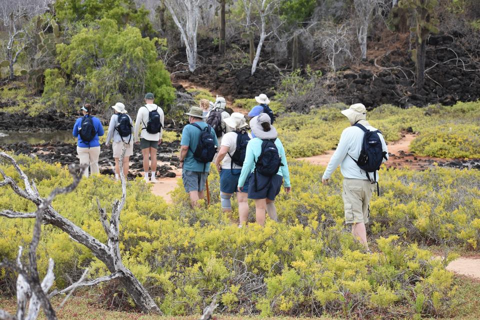 Viajeros recorriendo un sendero entre vegetación seca