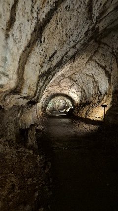Interior de un túnel de lava en la parte alta de Santa Cruz